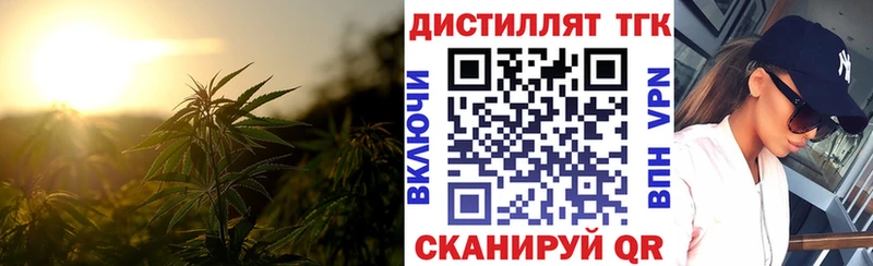 где купить Рошаль Дистиллят ТГК жижа